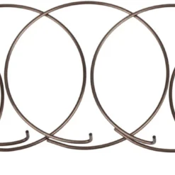 Fulcrum Sperrklinkenfedern 5-RM0-005 Für MTB Freilaufkörper