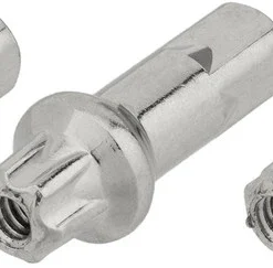 Dt-swiss Pro Lock® Squorx Pro Head® Messing-Nippel 2,0 Mm - 5 Stück