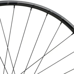 Tune Race 23 Boost Disc 6-Loch 29" Laufradsatz Modell 2021 -Deutschland Shimano Verkaufs-Shop 377739
