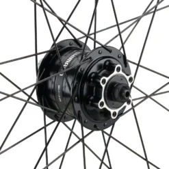 Mountain Alivio Disc 6-Loch DT Swiss 466d 29" Laufradsatz -Deutschland Shimano Verkaufs-Shop 399626